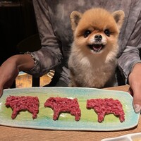 ワンちゃん用　ユッケ