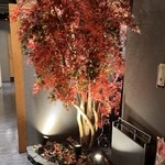 しゃぶしゃぶ 吟半 - 