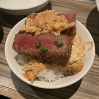 焼肉 ジャンボ はなれ - ヒレカツ（5,500円）2023.6