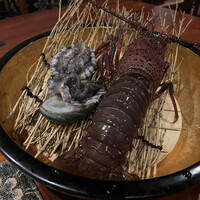 神楽坂 鉄板焼 向日葵 - 