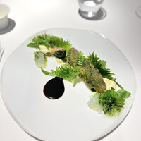 レフェルヴェソンス - 