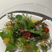 レフェルヴェソンス - 