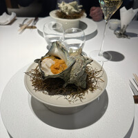 レフェルヴェソンス - 