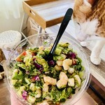 KIYOHACHI CHOPPED SALAD 円山裏参道店 - 