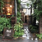 Bird COFFEE - 