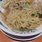 Hidakaya - 野菜たっぷりタンメンの麺