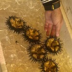 ヤマサ水産 総本店 - 