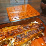 うなぎ 魚政 - うな重、天然うなぎ