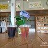 Hachi cafe - 