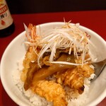 Chuukasaikan Kouhouseki - 蝦天丼小