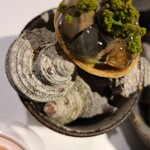 ラ・ヴァガボンド - 