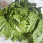 松原農園 - れたす