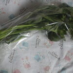 松原農園 - くーしんさい