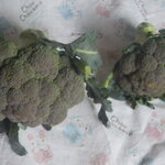 松原農園 - ぶっころり