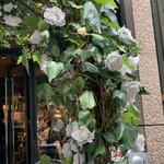 ADRIFT by DAVID MYERS - 