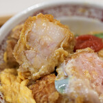 Tonkatsu Botan - 