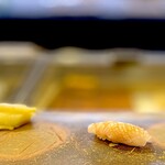 鮨 難波 - クエ。 塊を飲み込めないヘタレな僕用にたくさん包丁入ってます。 ここも僕の苦手を把握してくれてるありがたい店。