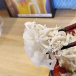 まるごと駿河湾 - しらすがうらめしそうな顔をしています