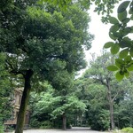 BUNDAN - 駒場公園