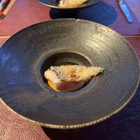 Potoro - 