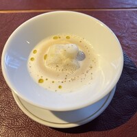 Potoro - 