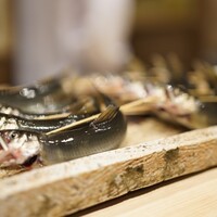 日本橋 蕎ノ字 - 