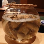 伯雲 - 長野県天竜川の鮎のお披露目