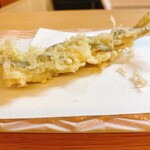 Tempura Kisetsu Ryouri Kyou Etsu - 穴子