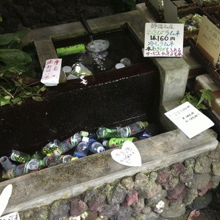 丸岩安藤わさび店_2