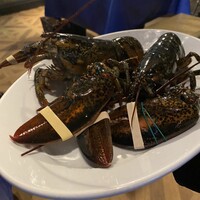 オッティモ・シーフード・ガーデン 新宿店 - 
