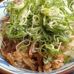 Marugame Seimen - 肉うどん