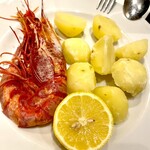 トレ ガッティ - 