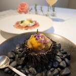 イル コラッツィエーレ - 