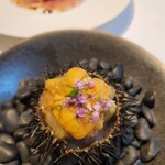 イル コラッツィエーレ - 