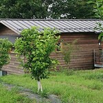 tsuki no mori - 待ってる間に果樹園の方を歩いて、店舗をパチリしてみました。