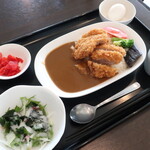 Sukuea - 豚ヒレカツカレー（サラダ・スープ，福神漬け付），日替り野菜トッピング，温泉玉子