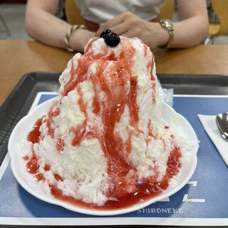 口コミ一覧 : 若松かき氷 白ねこ - 二島/ソフトクリーム [食べログ]