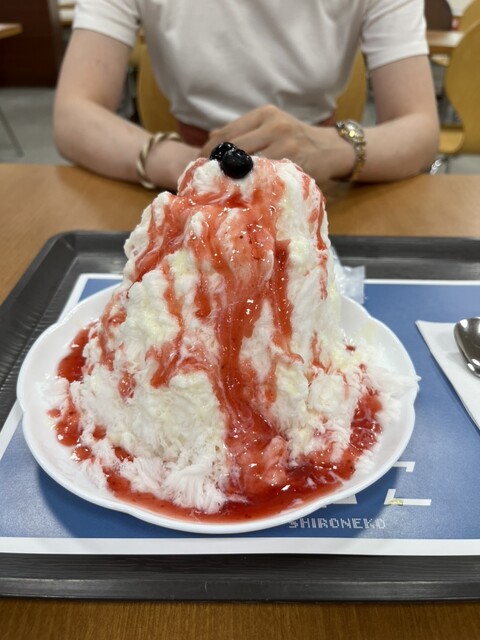 若松かき氷 白ねこ - 二島/ソフトクリーム | 食べログ