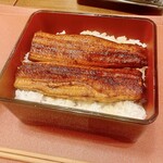 Seiryuu Unagi Tsukishima - 