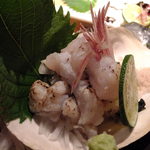 藤家 - はもの焼きちり付き：780円(2013.09月)