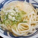 手打の味 小泉 - うどん