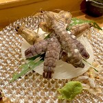 マルホ寿司 - シャコ