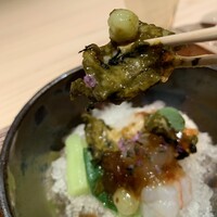 Auberge TOKITO - 鮑 牡丹エビ グースベリー、鮑箸上げ