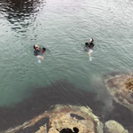 小袖海女センター - 