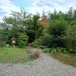 洋食 つばき - 随分と色付いてきました