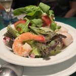 Torattoria Primavera - 