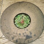 レヴォ - 〜大越中バイ〜富山湾の大バイ貝、レタス、トマト、オリーブを乗せて