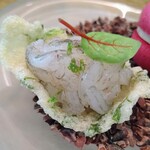 レヴォ - 〜prologue〜白エビ