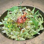 レヴォ - 〜大越中バイ〜富山湾の大バイ貝、レタス、トマト、オリーブを乗せて