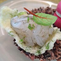 レヴォ - 〜prologue〜白エビ